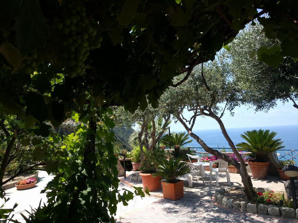 Giardino Del Sole 2* Forio di Ischia