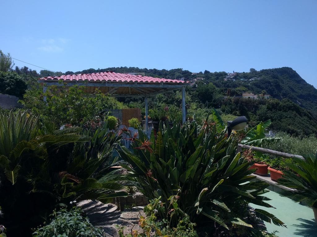 Apart-hotel Giardino Del Sole