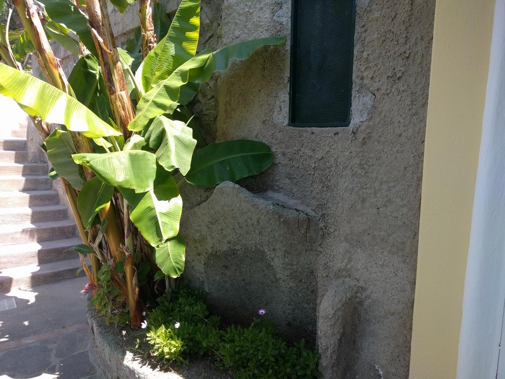 Giardino Del Sole 2*
