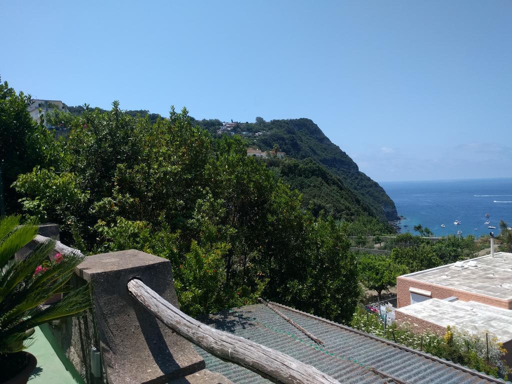 Apart-hotel Giardino Del Sole Forio di Ischia