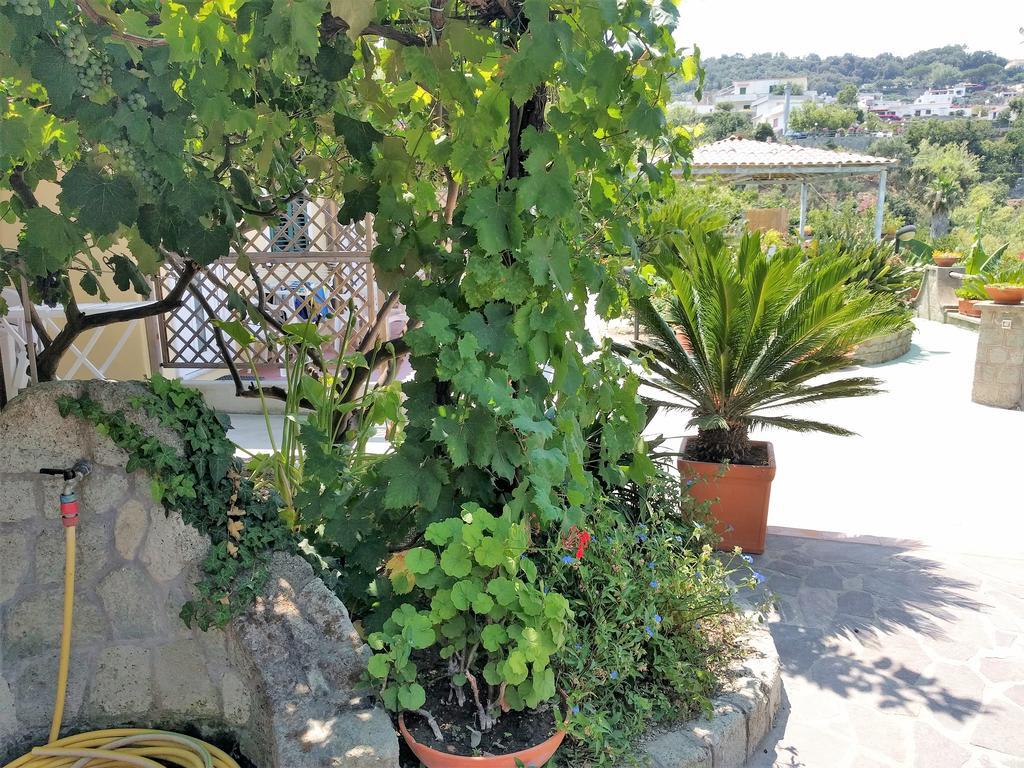 Giardino Del Sole Forio di Ischia