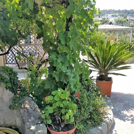 Residence Giardino Del Sole Forio  Exterior photo